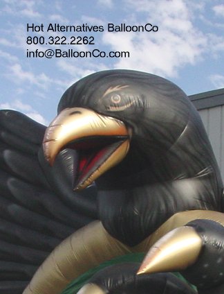 Birdville Hawks Hurst Texas Football Mascot Eagle Tunnel